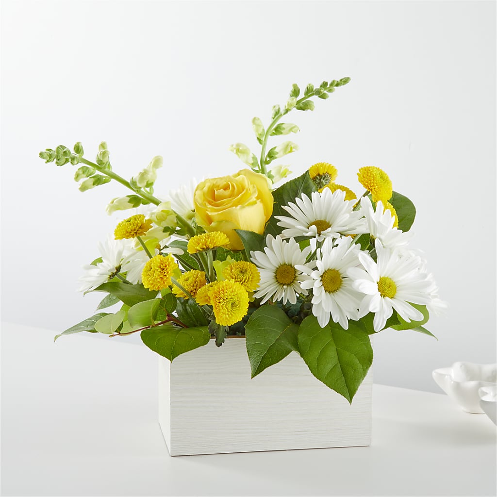 Sun Salutation Box Bouquet – FLEUR & CO, Spartanburg SC