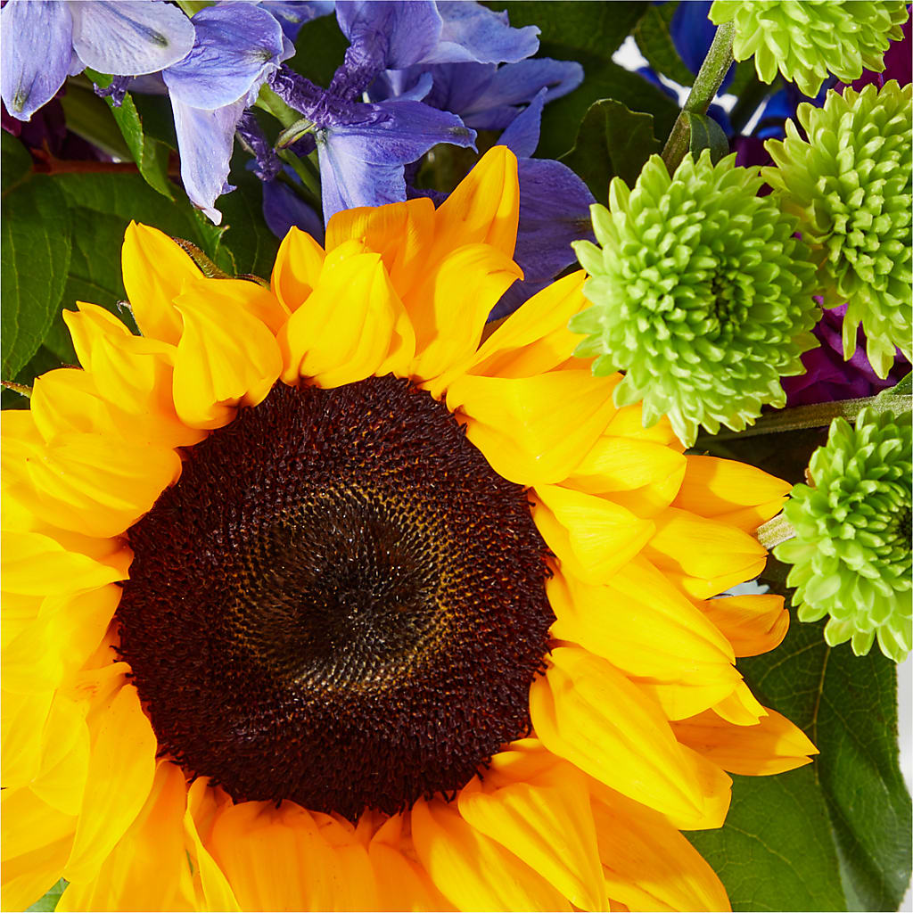 Catching Rays Bouquet – FLEUR & CO, Spartanburg SC