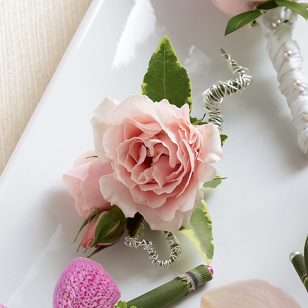Pink Spray Rose Boutonniere – FLEUR & CO, Spartanburg SC