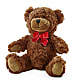 Adorable Plush Bear – FLEUR & CO, Spartanburg SC