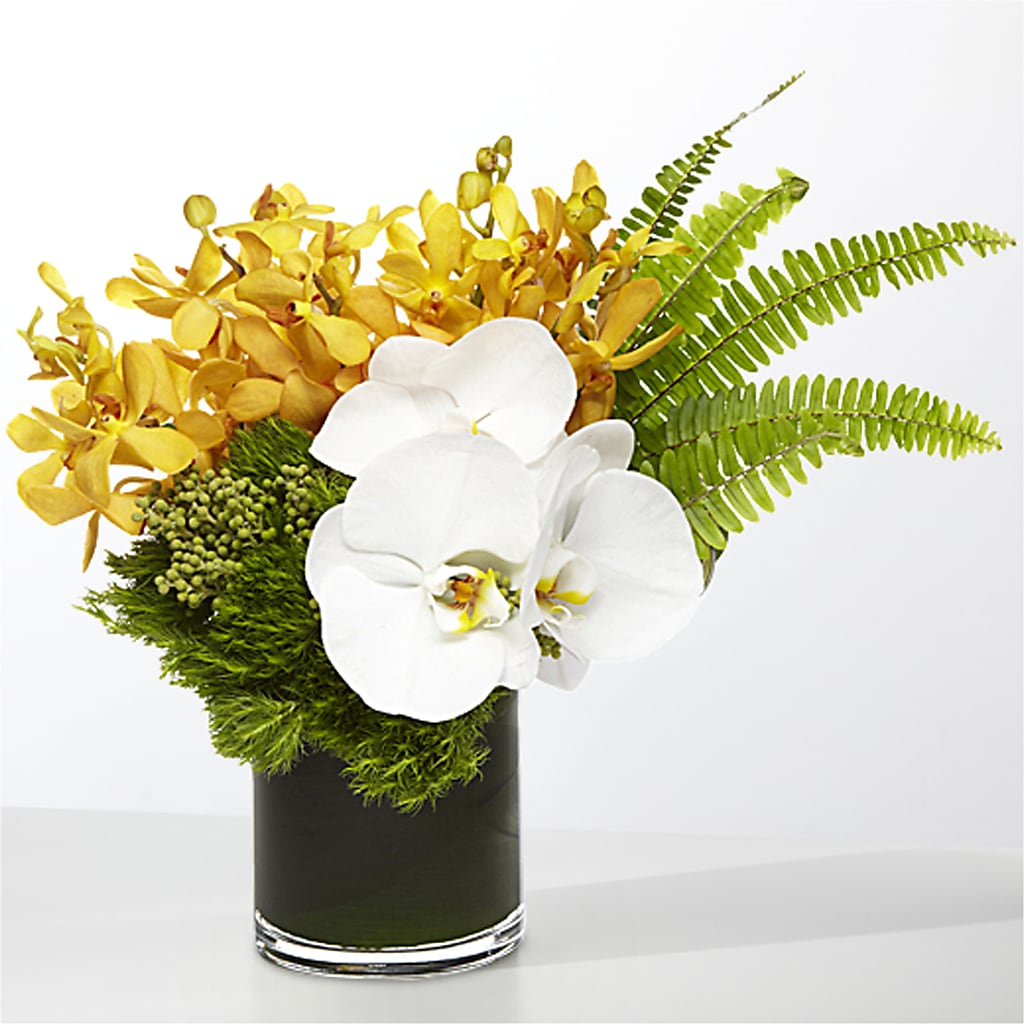 The Tropics – FLEUR & CO, Spartanburg SC