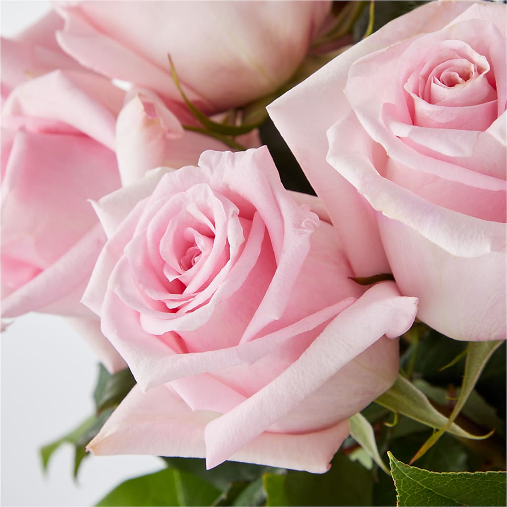 Picture Perfect Pink Rose Bouquet – FLEUR & CO, Spartanburg SC