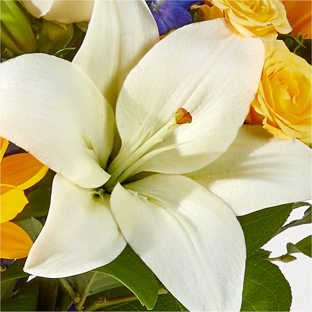 Wonderfully Sunny Bouquet – FLEUR & CO, Spartanburg SC
