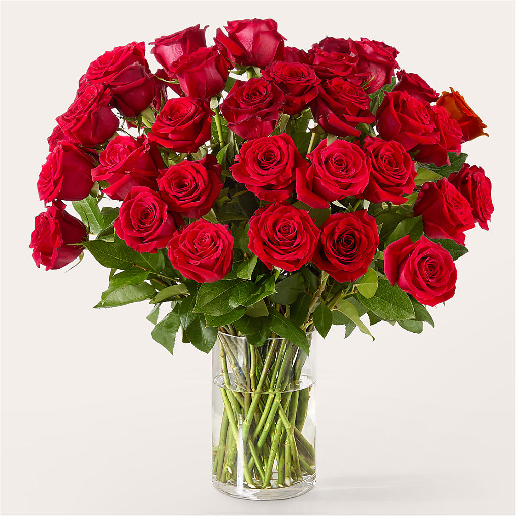 The One Red Rose Bouquet – FLEUR & CO, Spartanburg SC