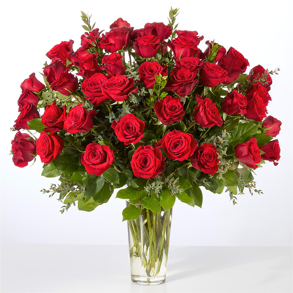 Forever Yours Fifty Stem Red Rose Bouquet – FLEUR & CO, Spartanburg SC